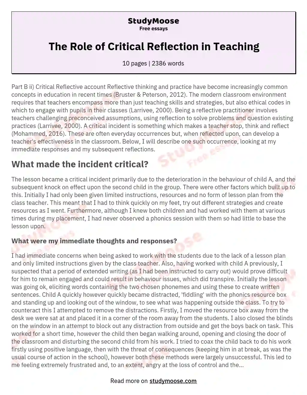 The Role of Critical Reflection in Teaching essay