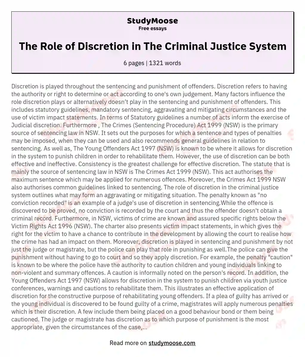 The Role of Discretion in The Criminal Justice System essay