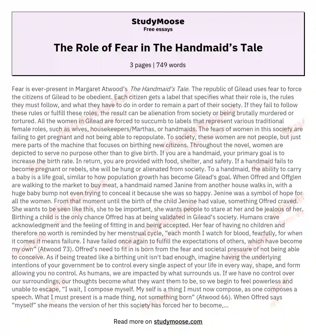 The Role of Fear in The Handmaid’s Tale essay