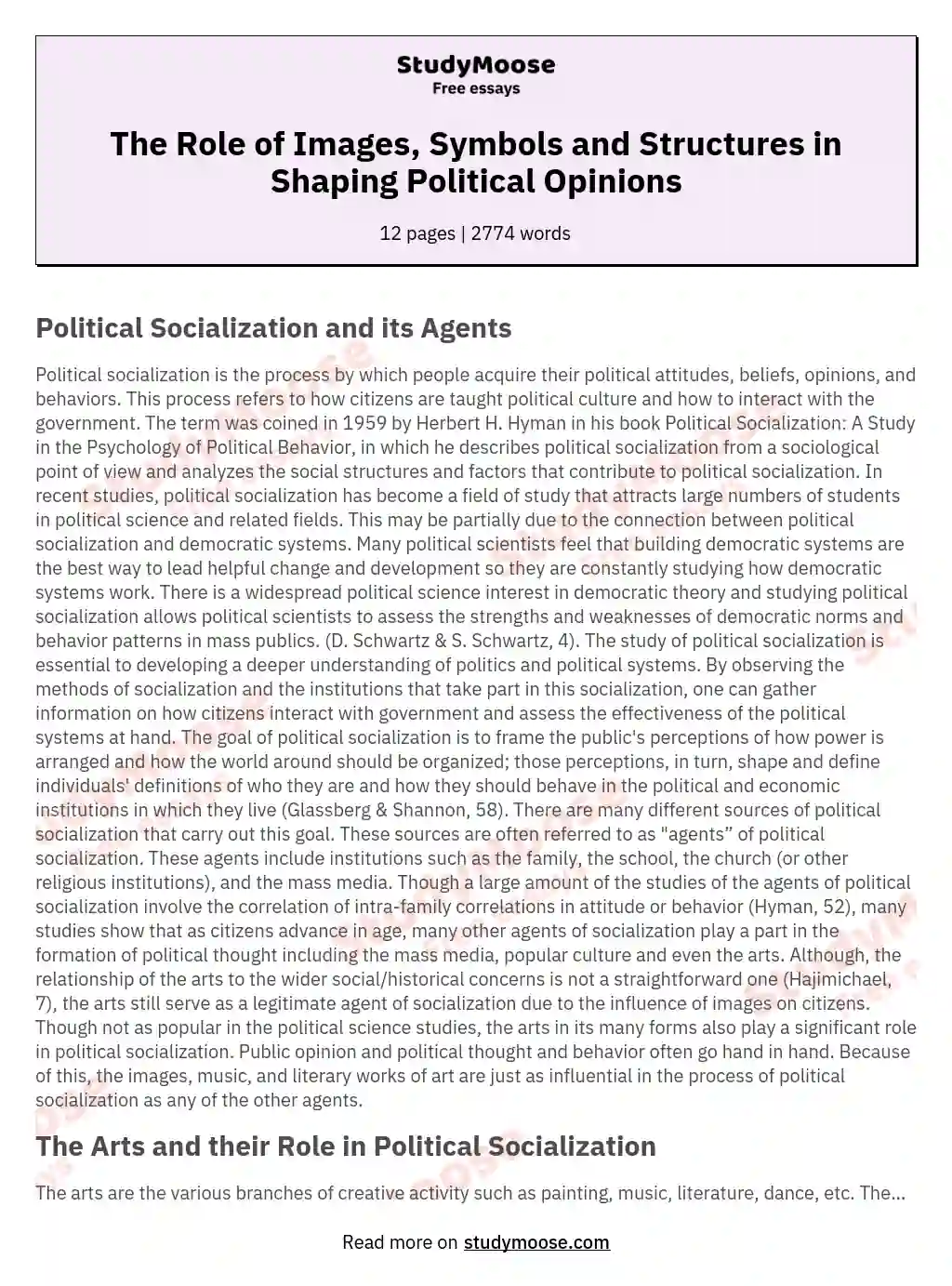 The Role of Images, Symbols and Structures in Shaping Political Opinions essay