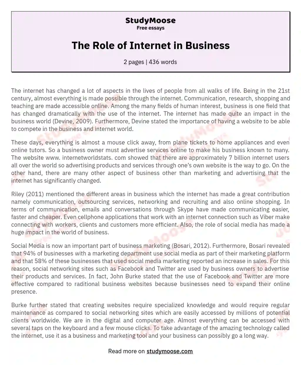 The Role of Internet in Business essay
