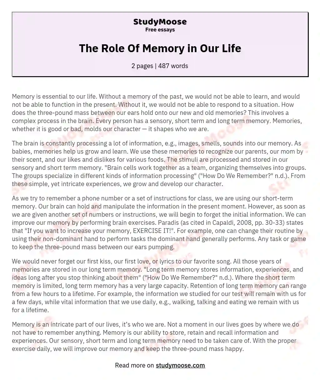 The Role Of Memory in Our Life essay