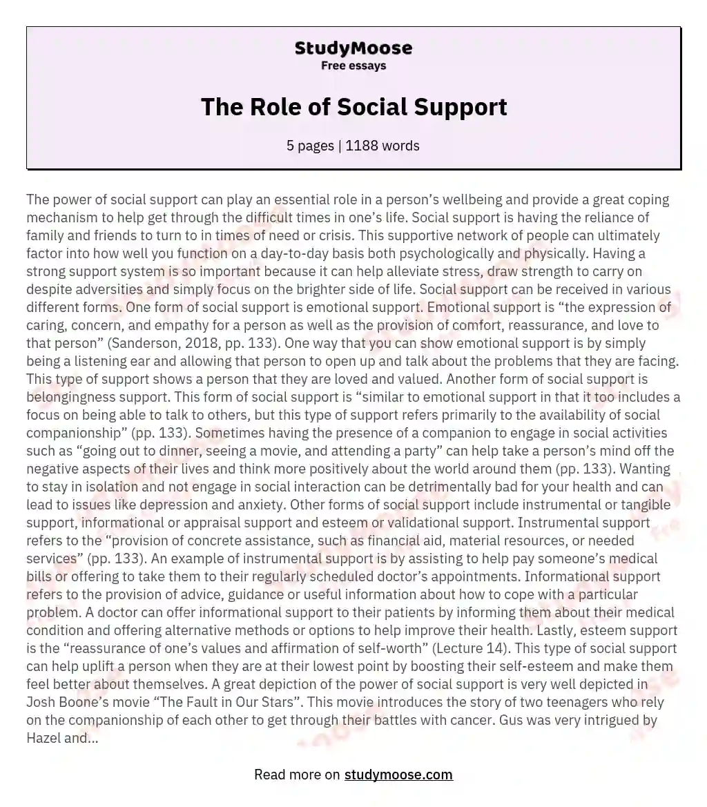 The Role of Social Support essay