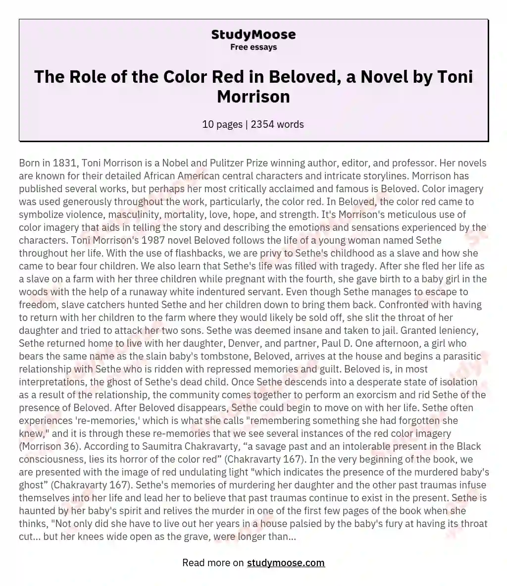 The Role of the Color Red in Beloved, a Novel by Toni Morrison essay