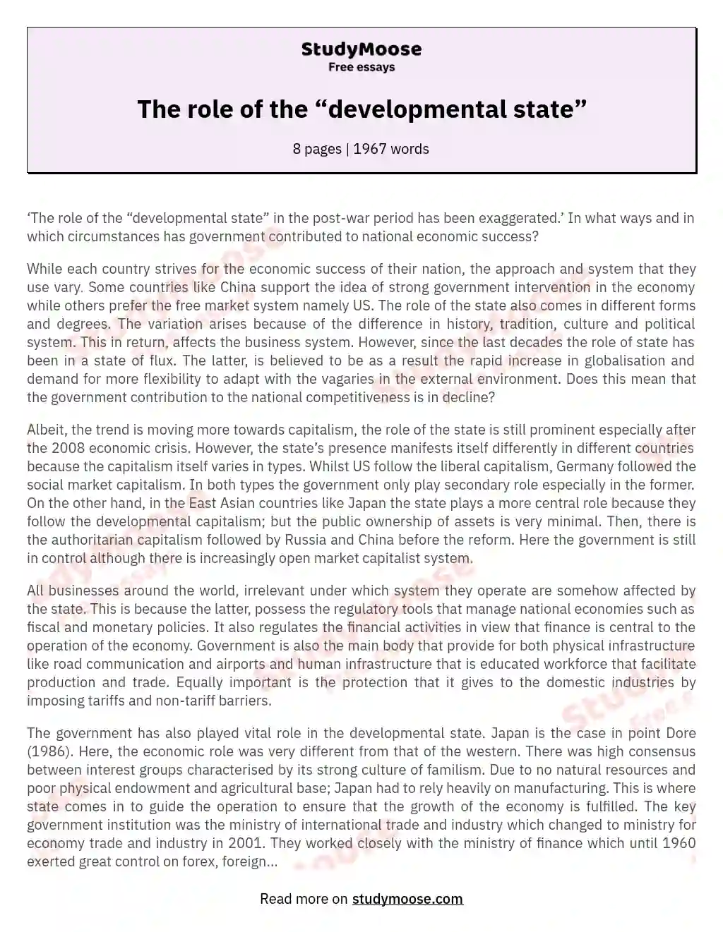 The role of the “developmental state” essay
