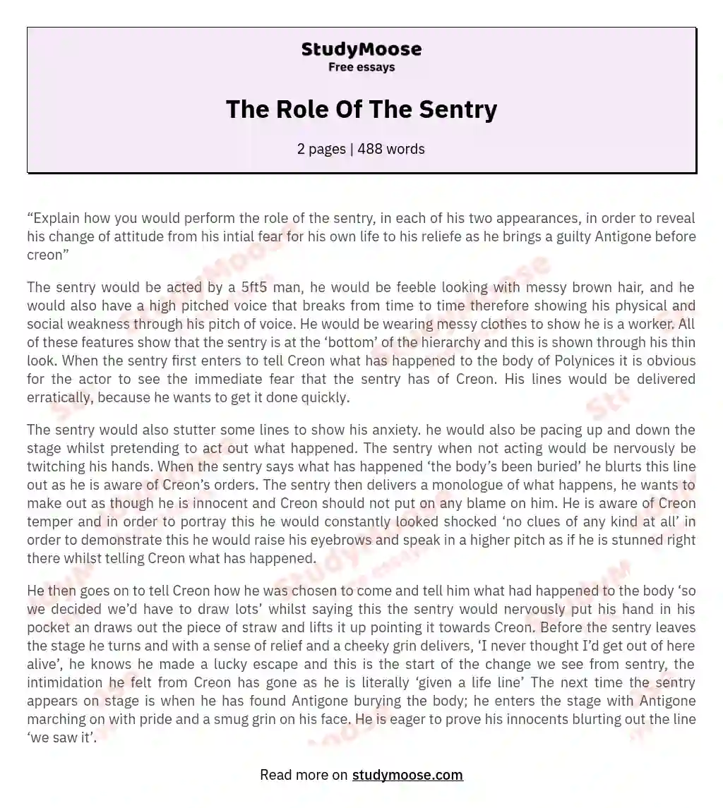 The Role Of The Sentry essay