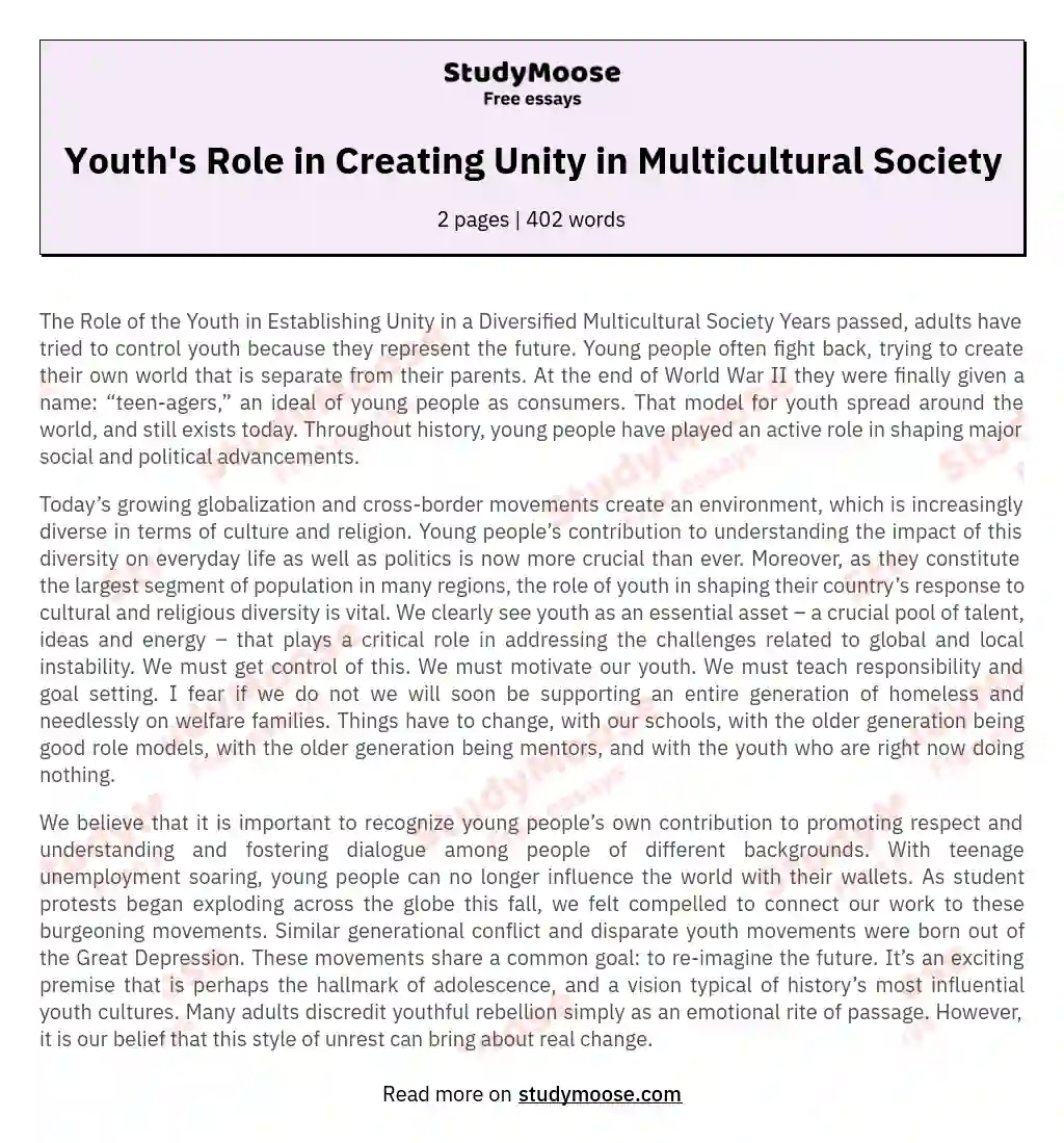 Youth's Role in Creating Unity in Multicultural Society essay