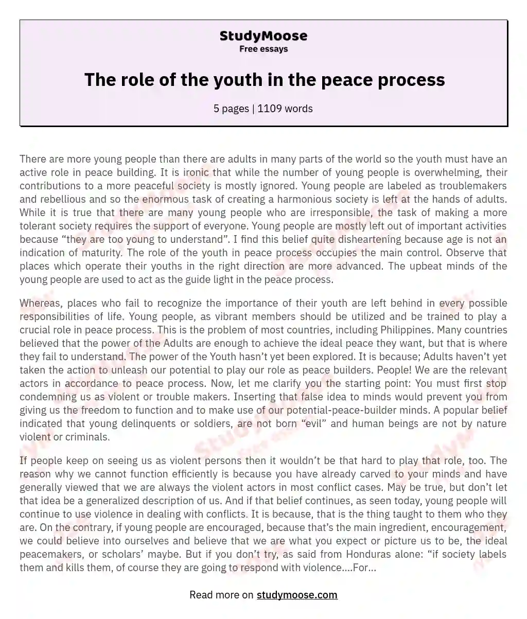 The role of the youth in the peace process essay