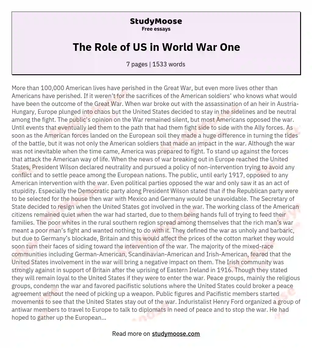 The Role of US in World War One essay