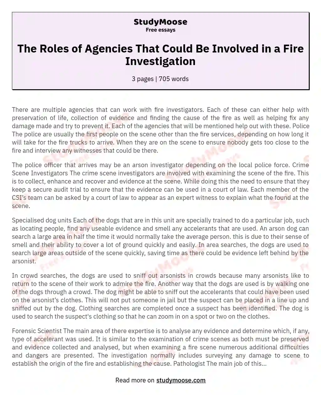 The Roles of Agencies That Could Be Involved in a Fire Investigation essay