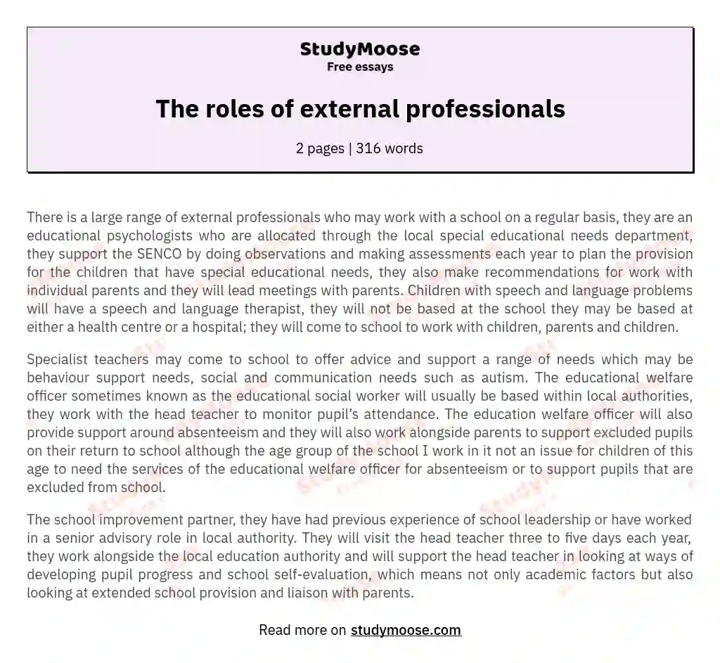 The roles of external professionals essay