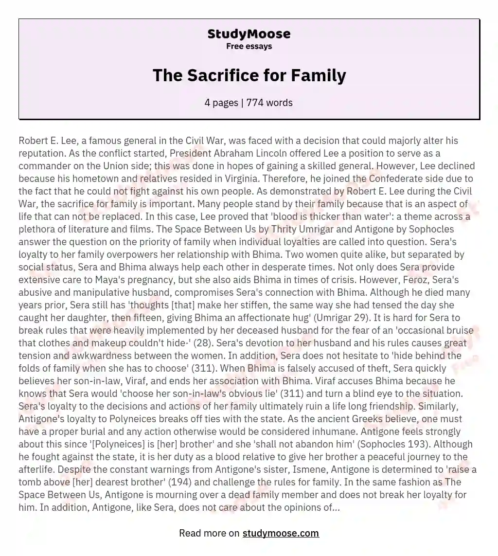 The Sacrifice for Family essay