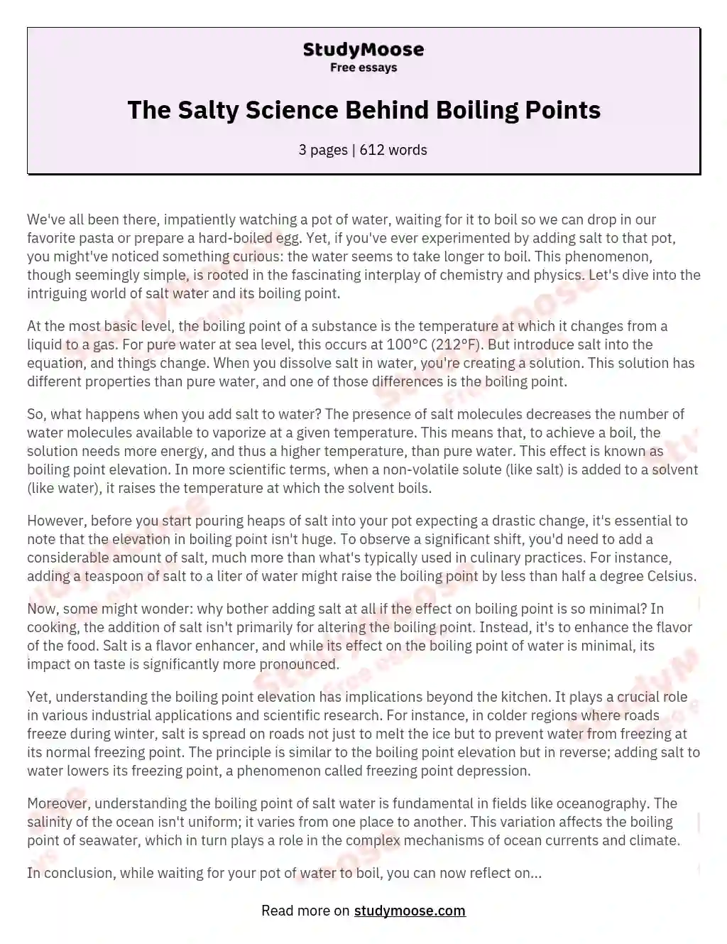 The Salty Science Behind Boiling Points essay