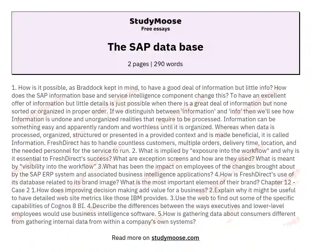 The SAP data base essay