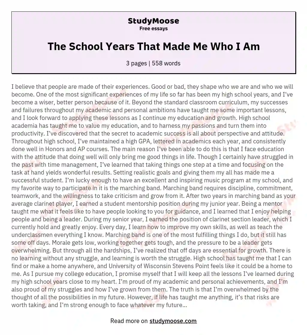 The School Years That Made Me Who I Am essay