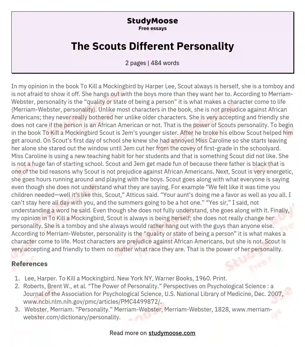 The Scouts Different Personality essay