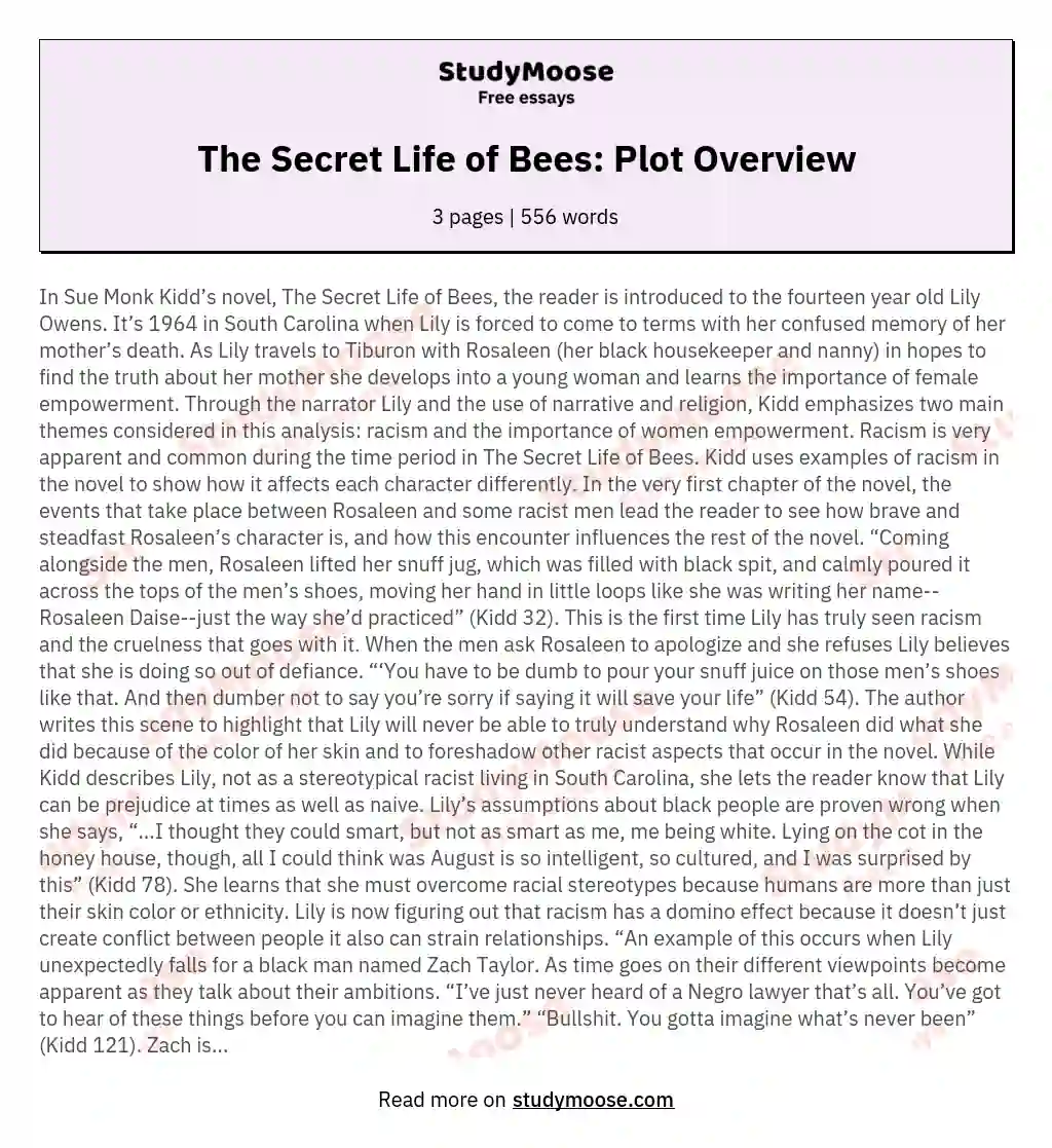 The Secret Life of Bees: Plot Overview