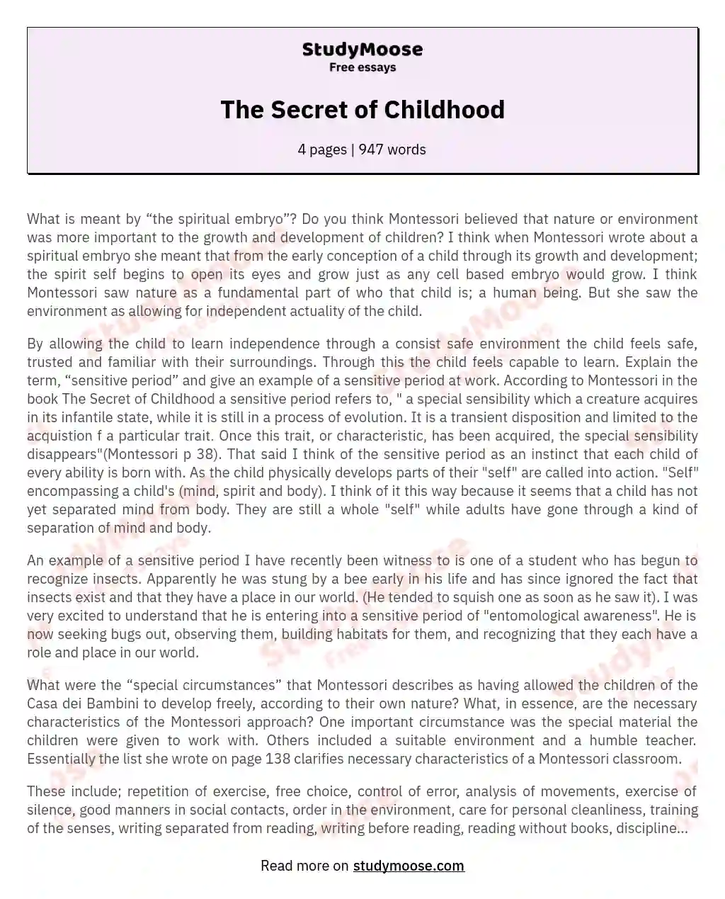 The Secret of Childhood essay