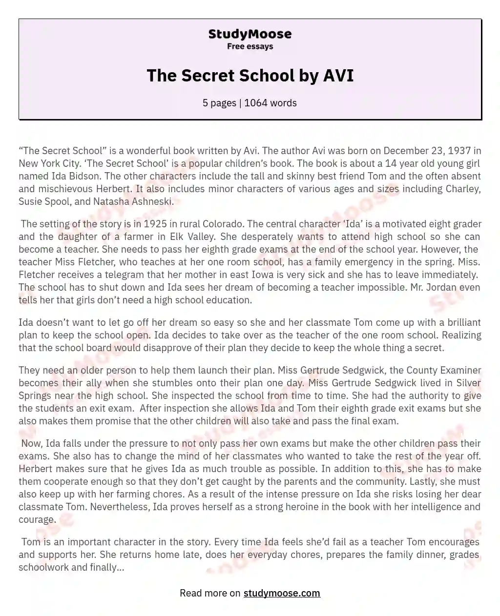 The Secret School by AVI essay
