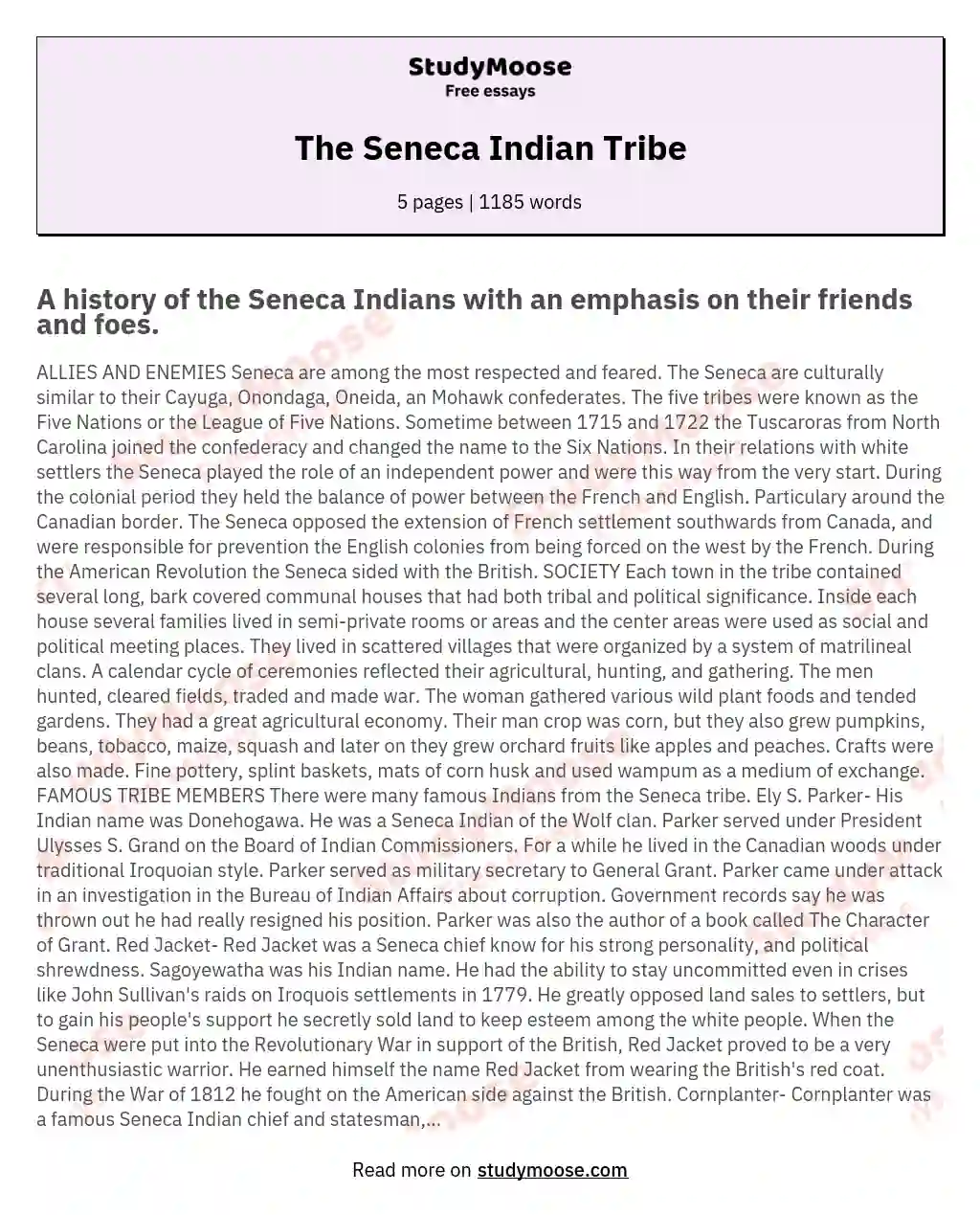 The Seneca Indian Tribe essay