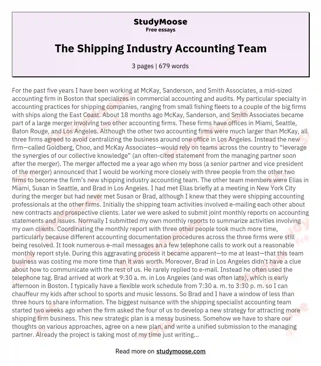 The Shipping Industry Accounting Team essay