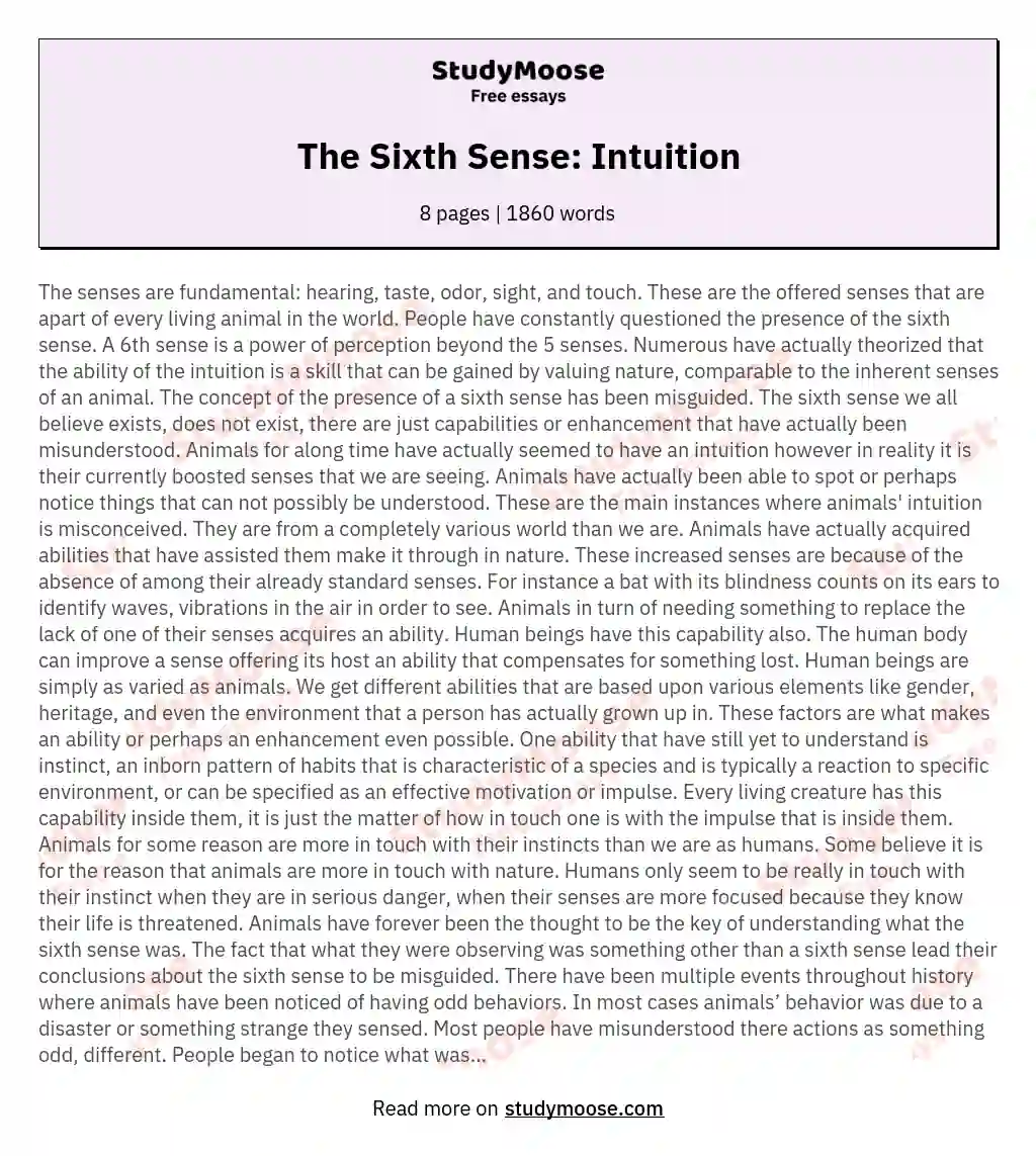 The Sixth Sense: Intuition essay