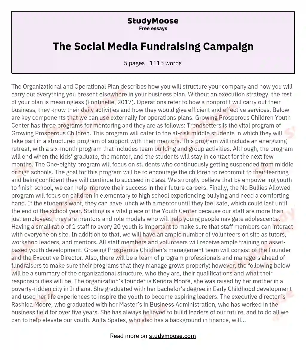 The Social Media Fundraising Campaign essay