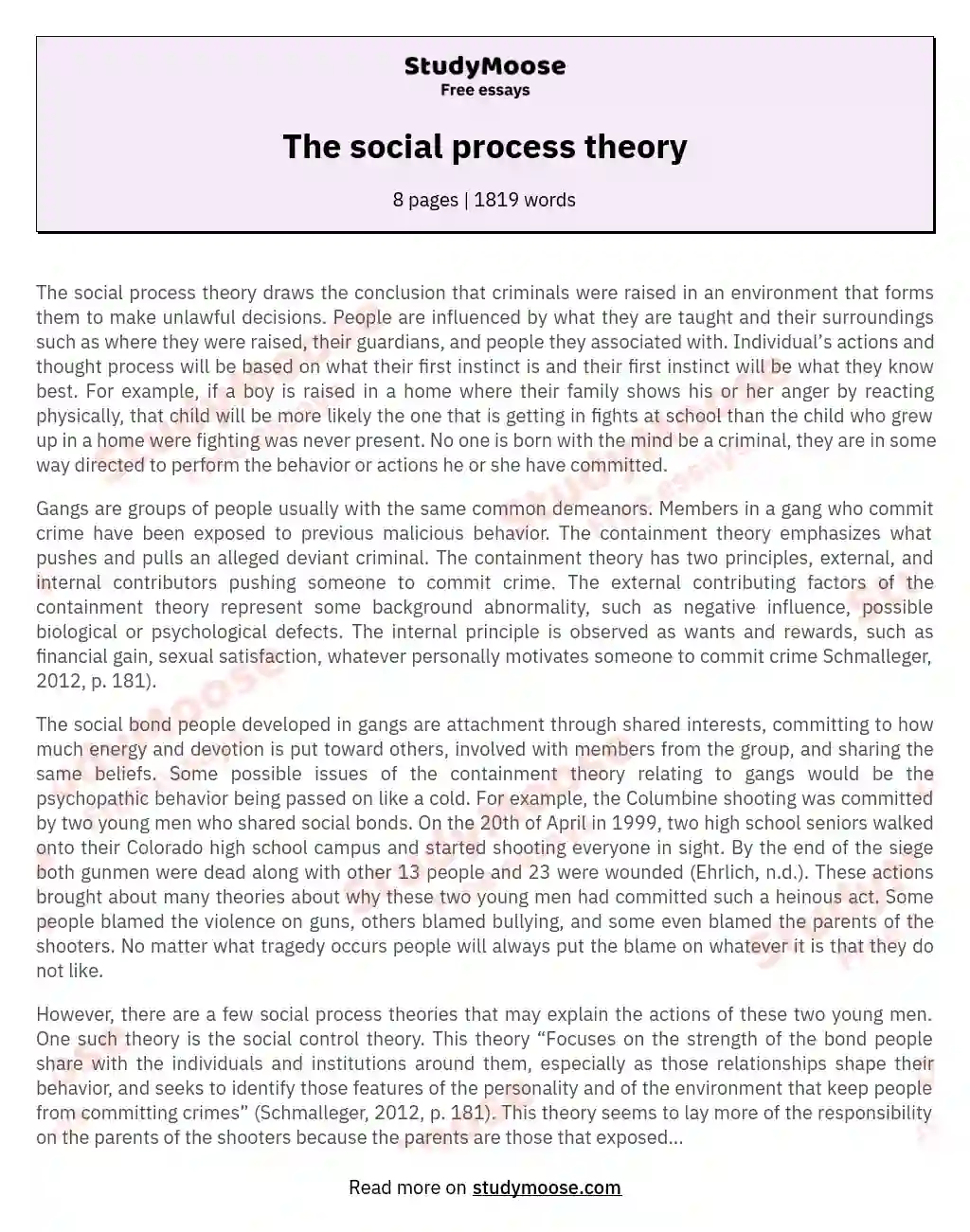 Social Process Theories in Criminology: Understanding Criminal Behavior essay