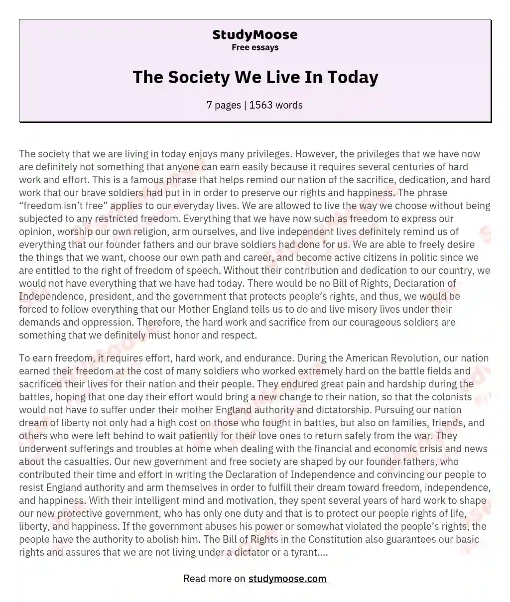 The Society We Live In Today essay