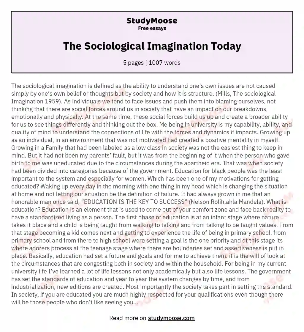 The Sociological Imagination Today essay