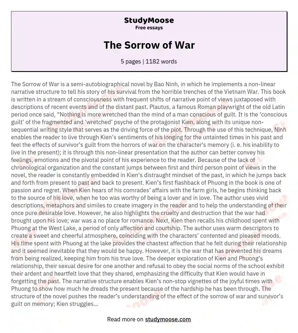 The Sorrow of War essay