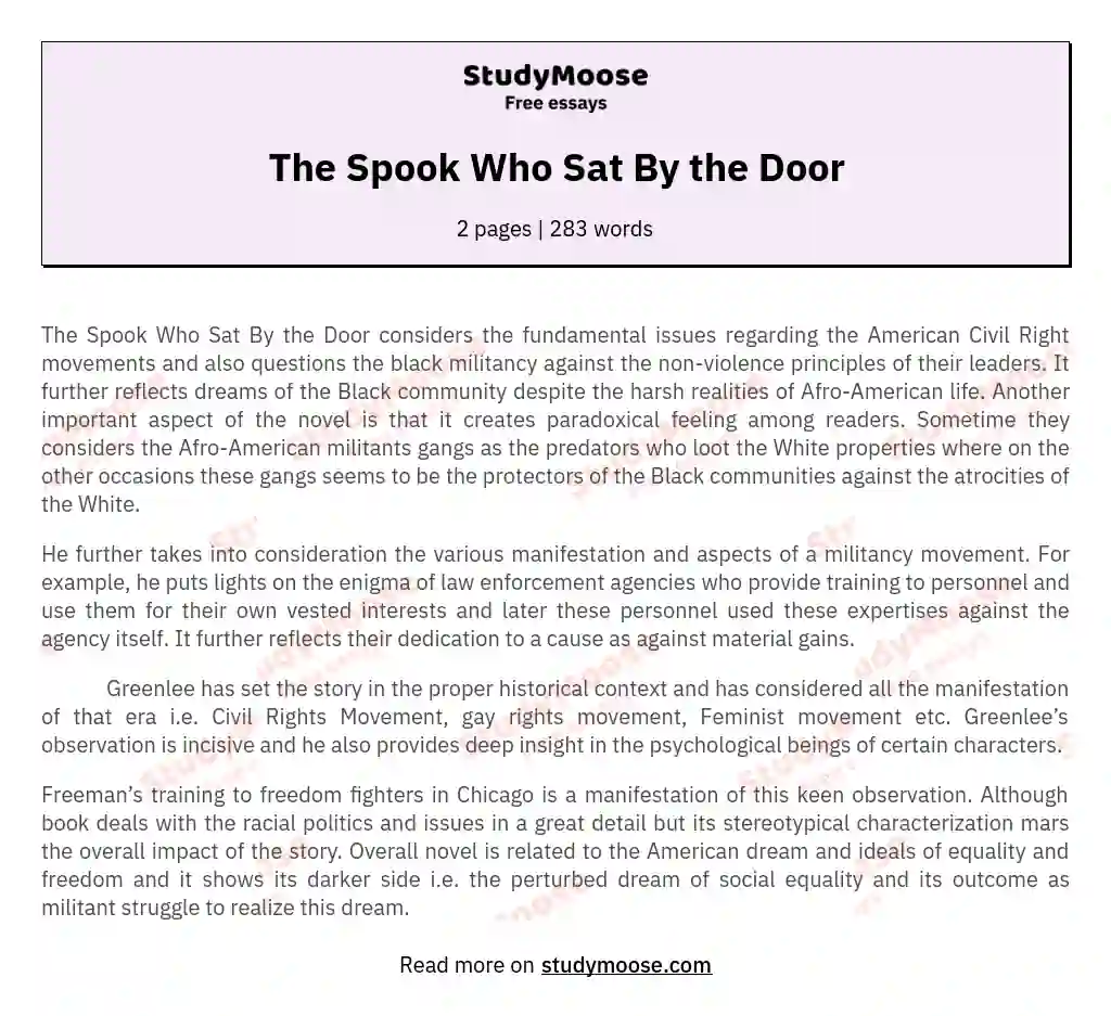 The Spook Who Sat By the Door essay