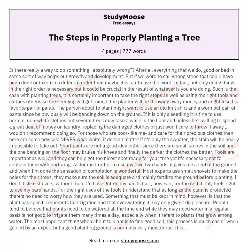 The Steps in Properly Planting a Tree