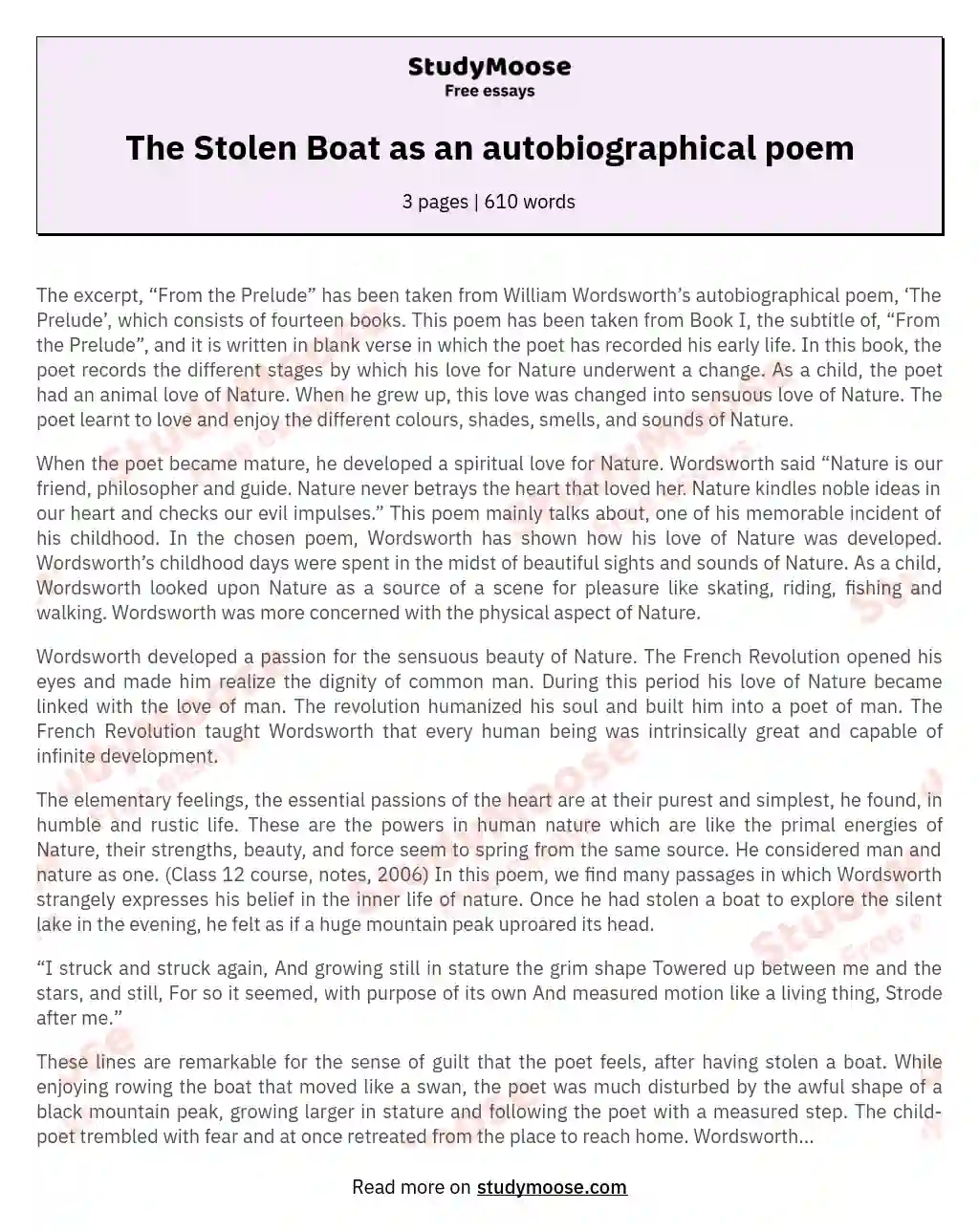 The Stolen Boat as an autobiographical poem essay