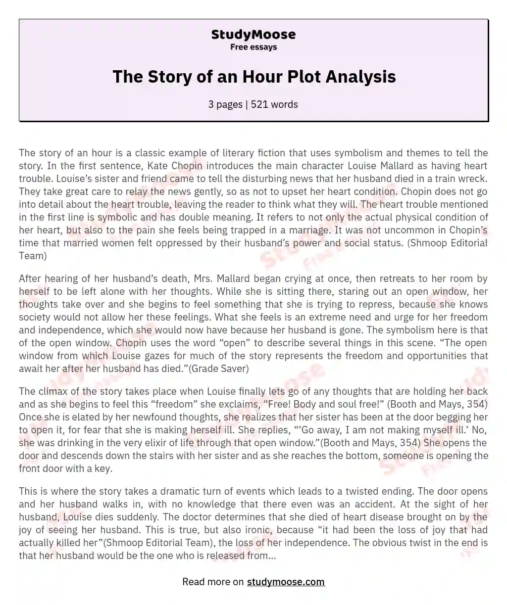 The Story of an Hour Plot Analysis essay