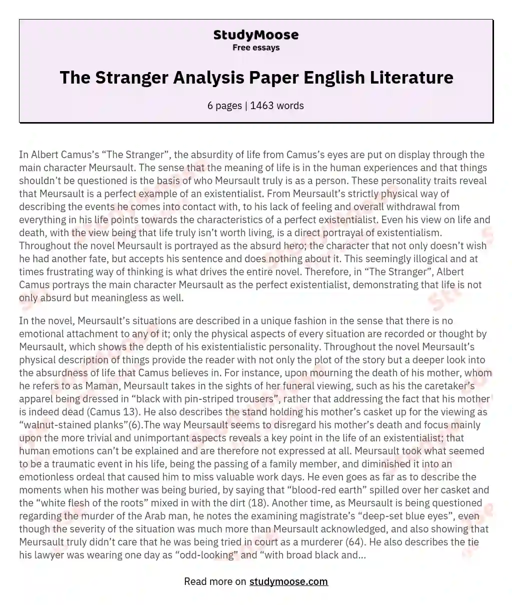 The Stranger Analysis Paper English Literature essay