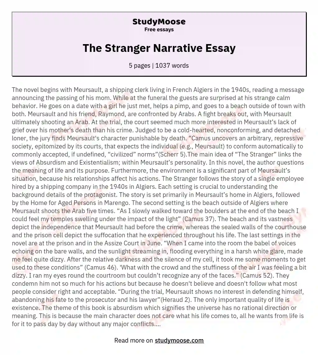 The Stranger Narrative Essay essay