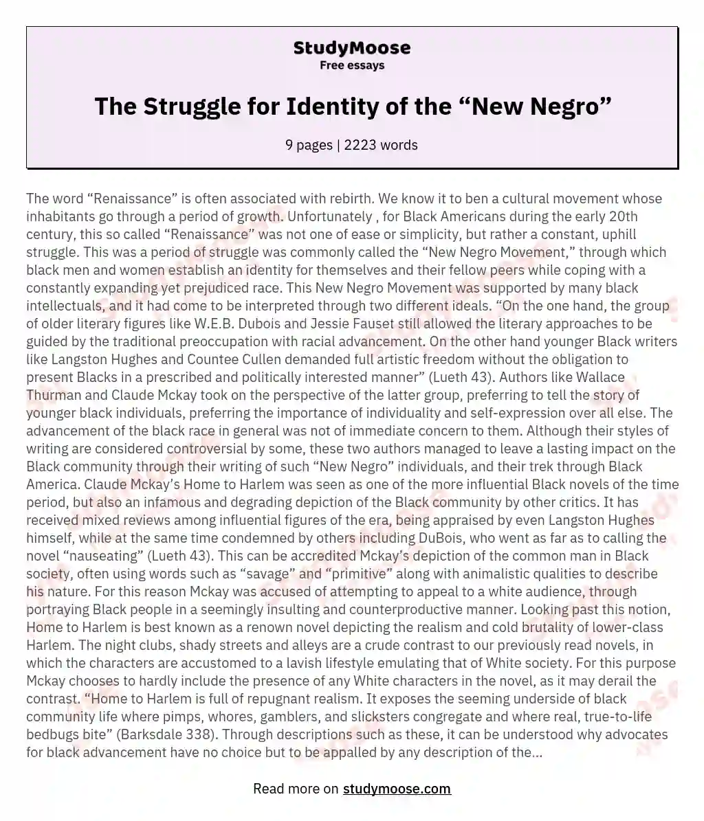 The Struggle for Identity of the “New Negro” essay