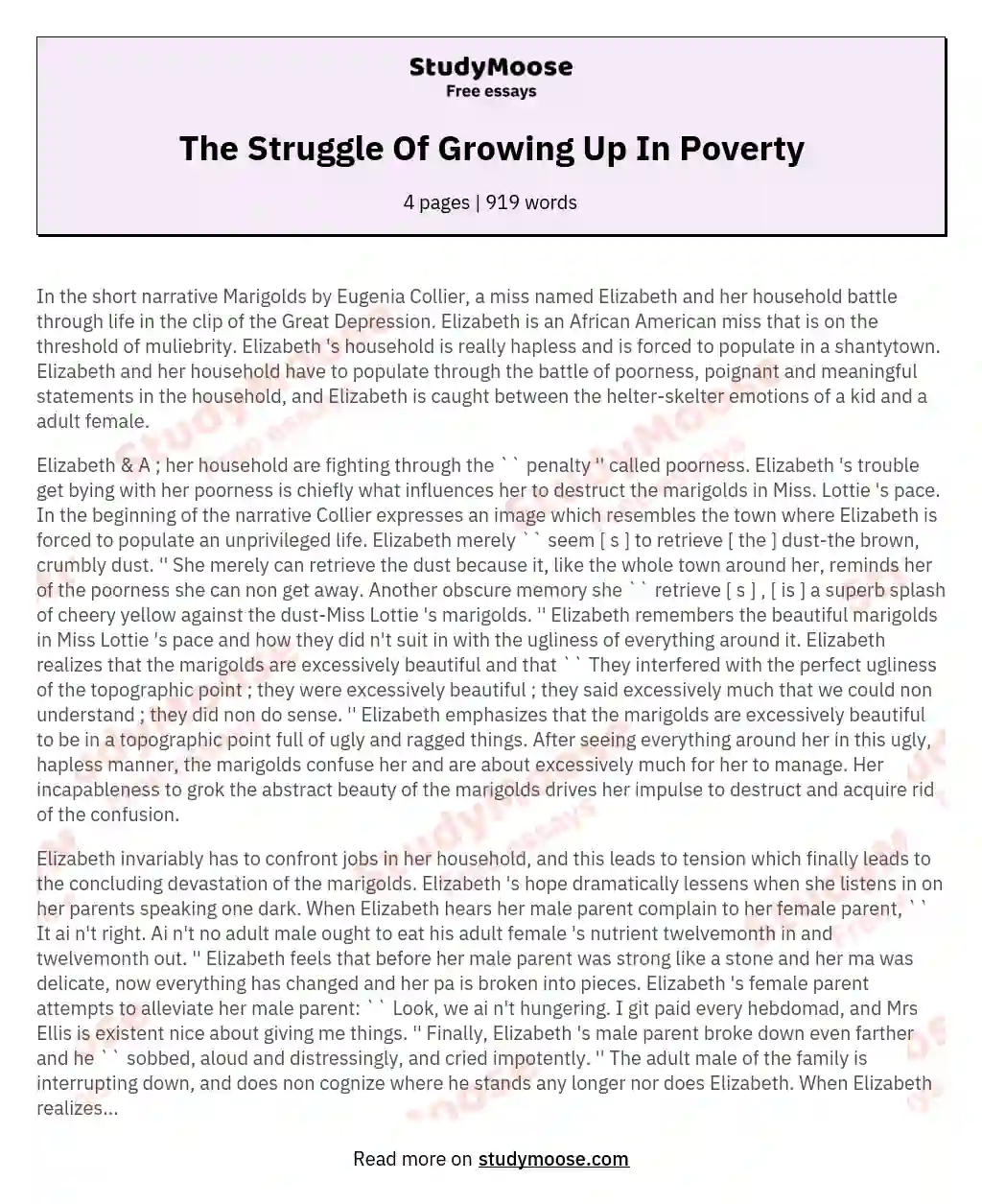 The Struggle Of Growing Up In Poverty essay