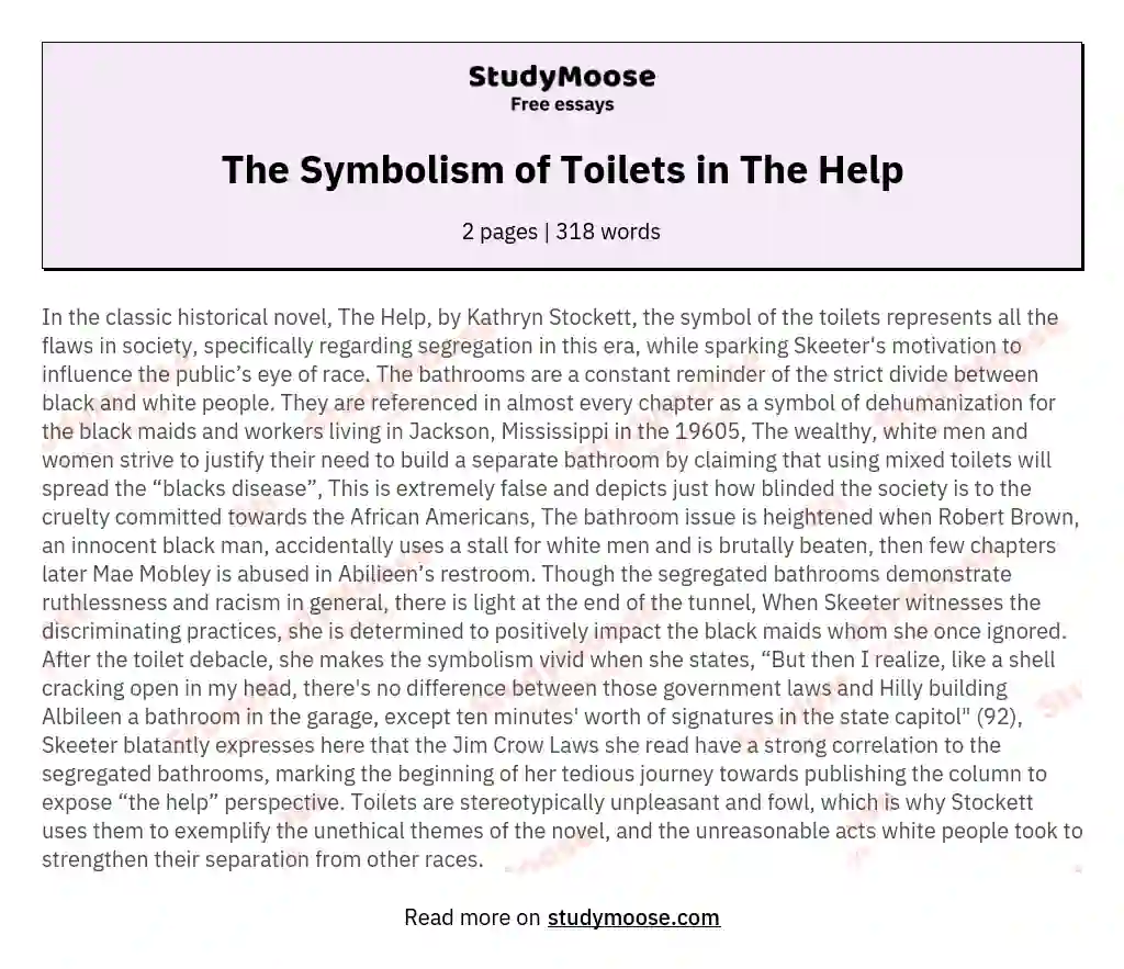 The Symbolism of Toilets in The Help essay
