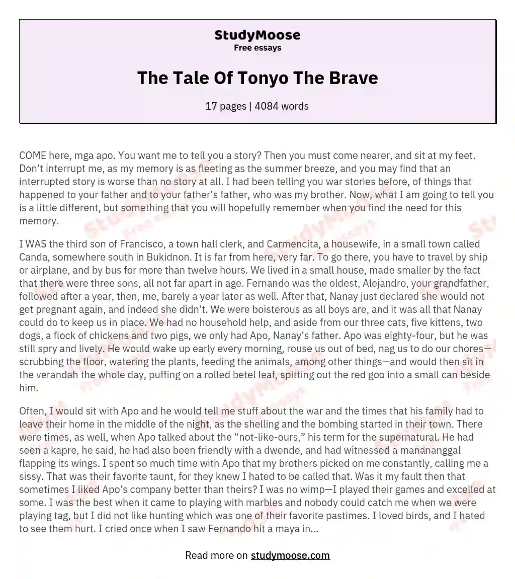 The Tale Of Tonyo The Brave essay