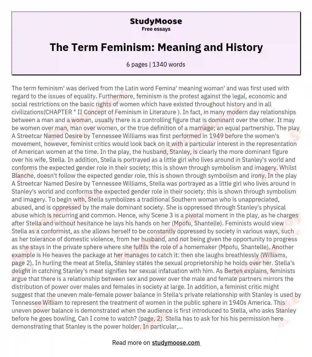The Term Feminism: Meaning and History