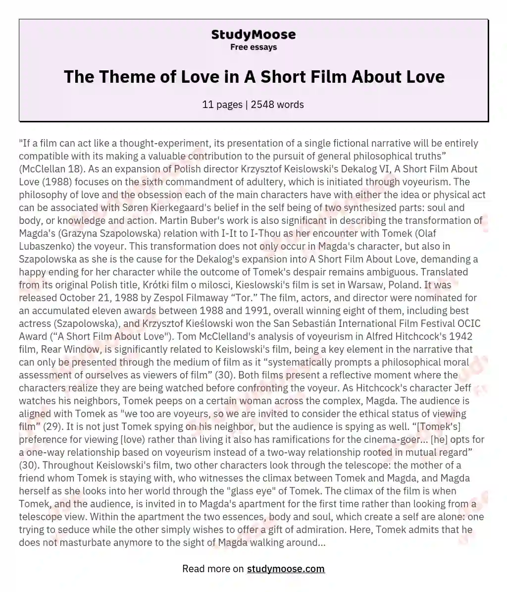 The Theme of Love in A Short Film About Love essay