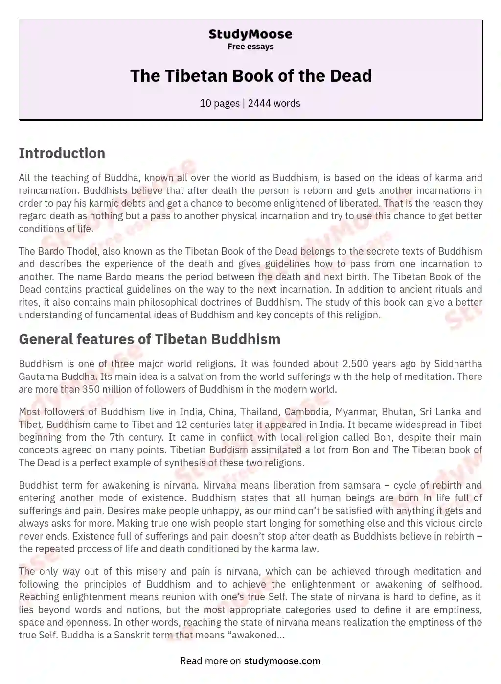 The Tibetan Book of the Dead essay