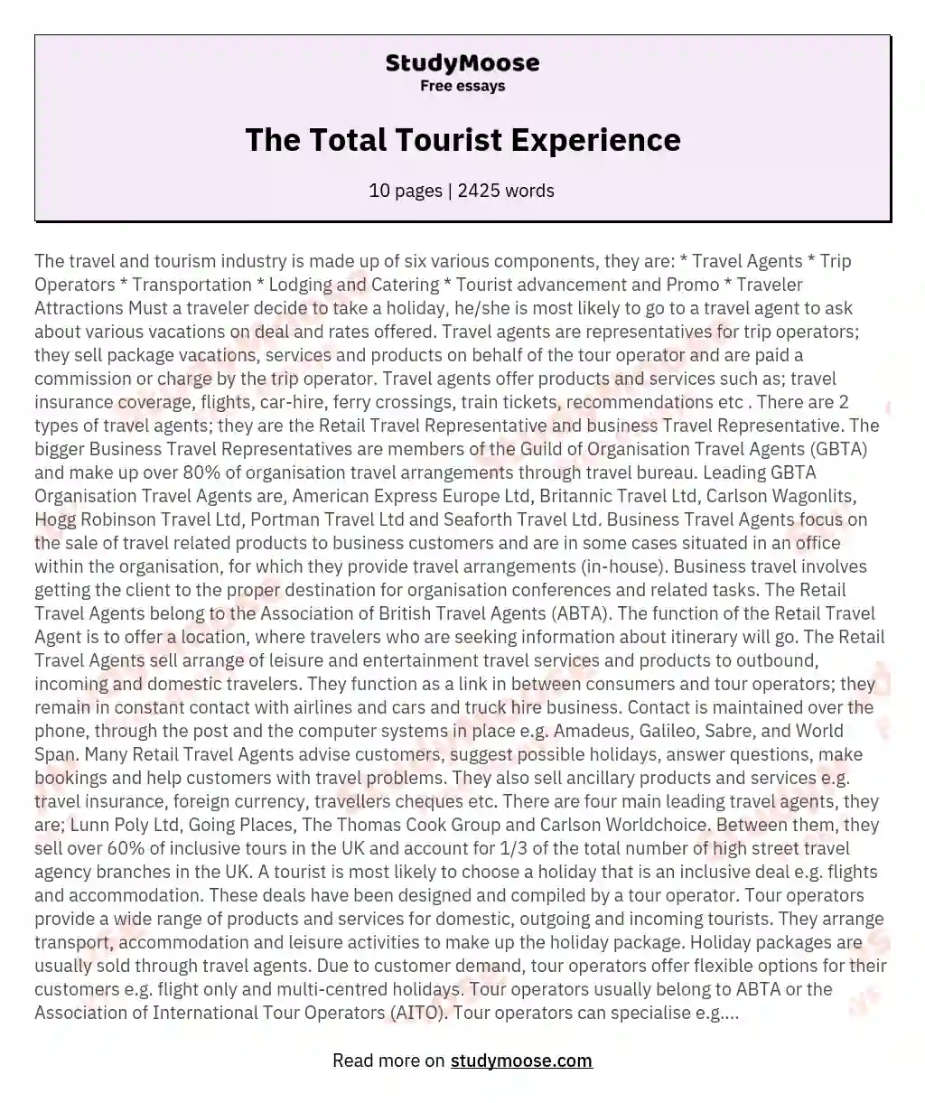 The Total Tourist Experience essay