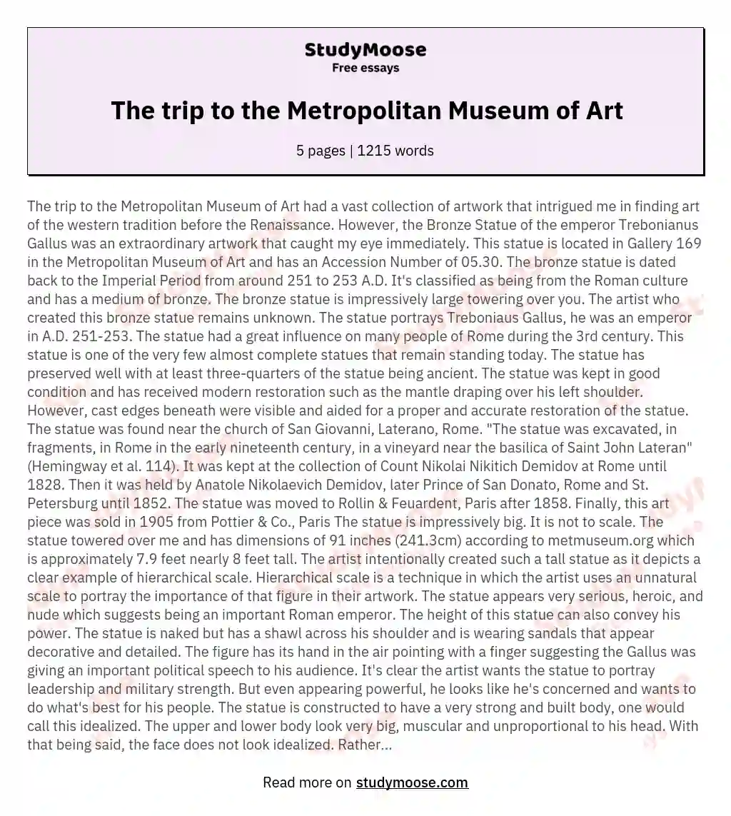 The trip to the Metropolitan Museum of Art essay