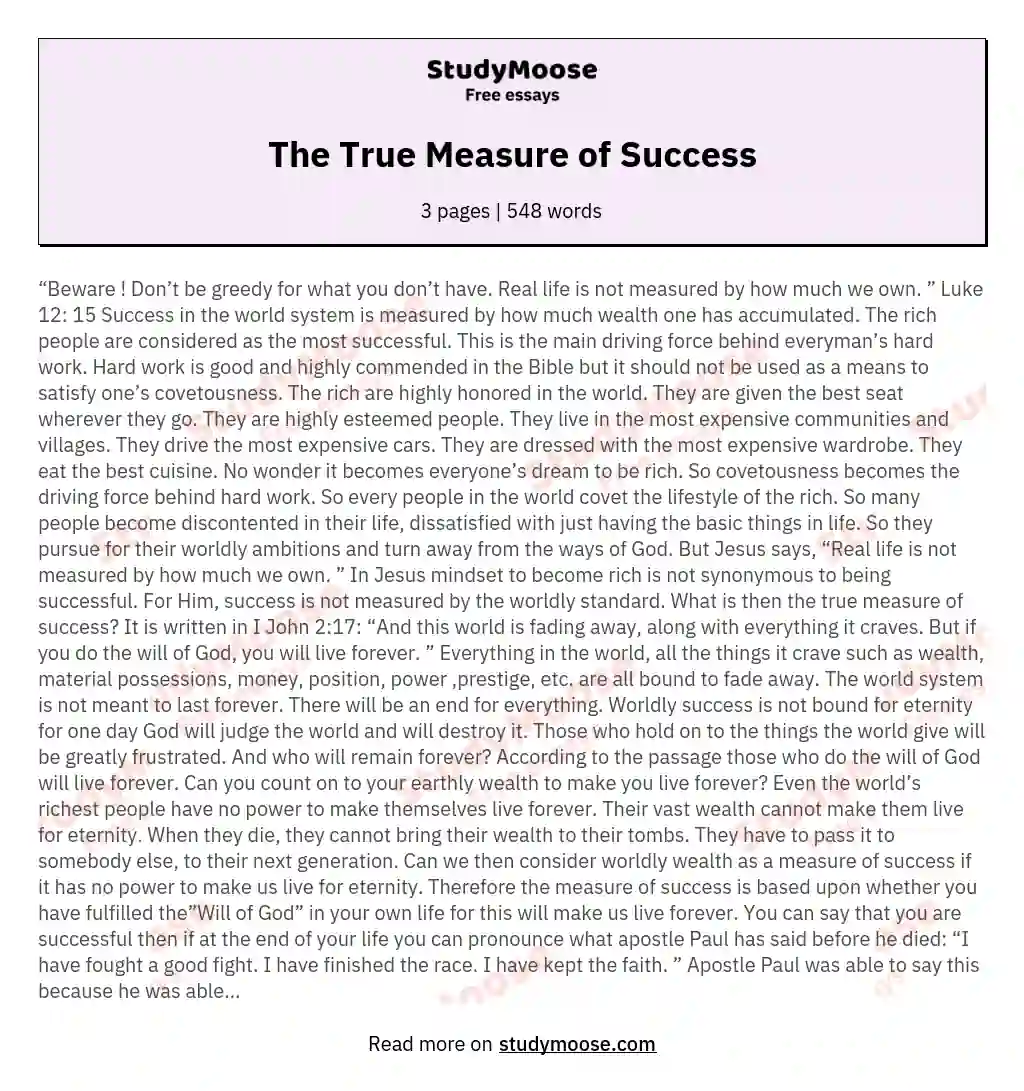 true meaning of success essay