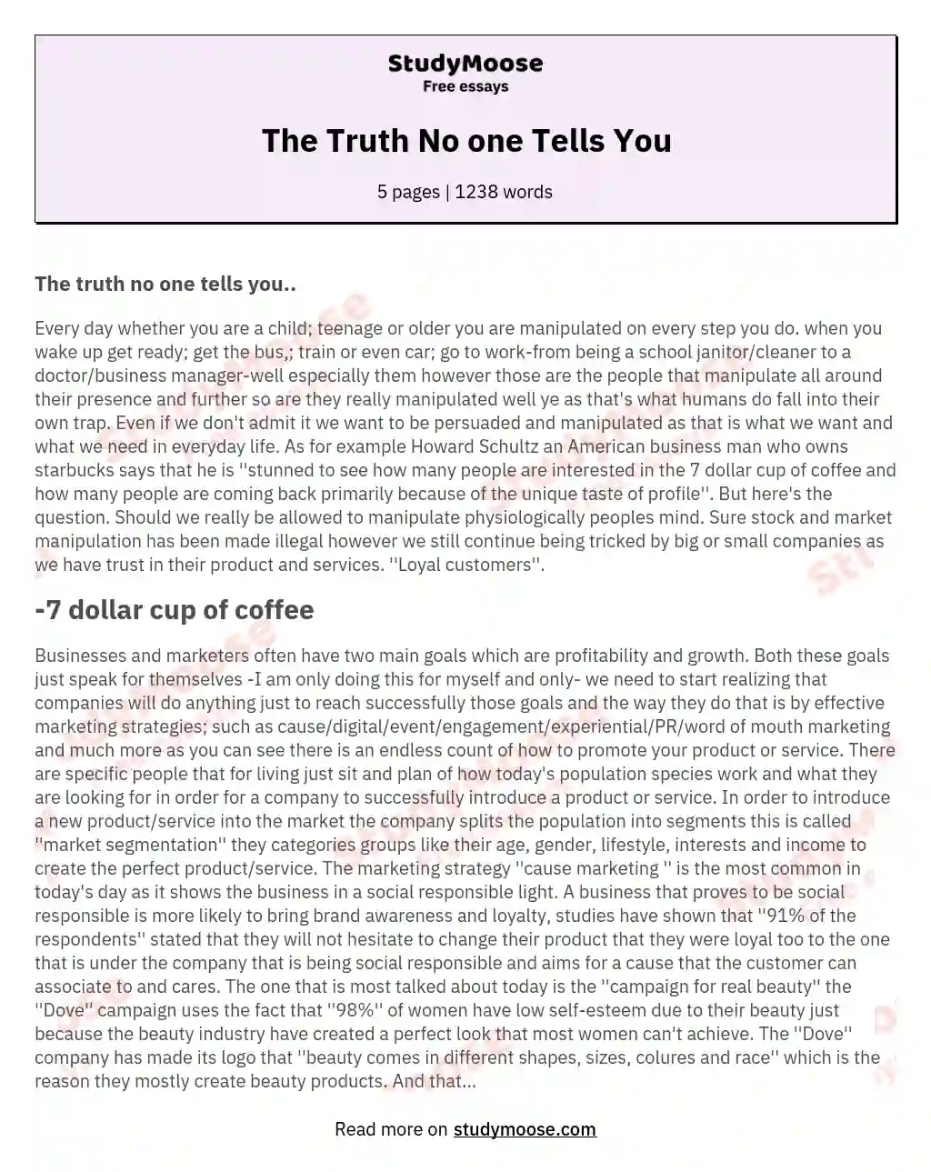 The Truth No one Tells You essay