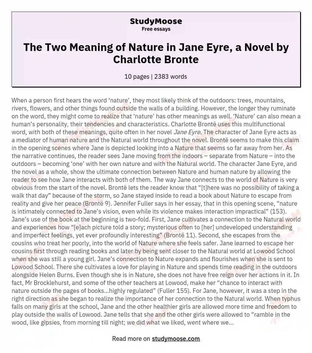 The Two Meaning of Nature in Jane Eyre, a Novel by Charlotte Bronte essay