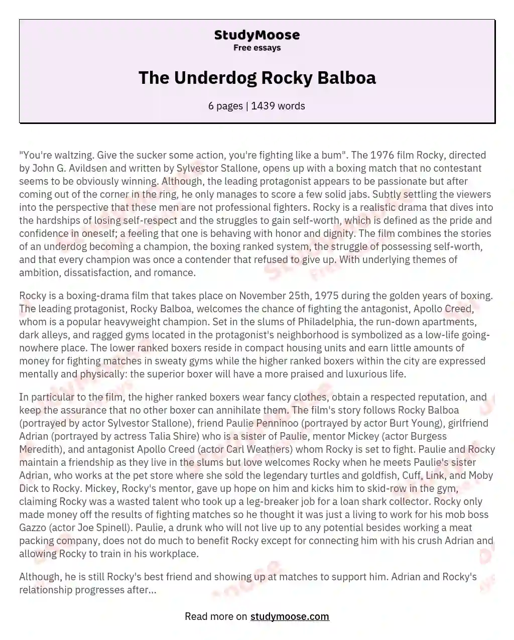 The Underdog Rocky Balboa essay